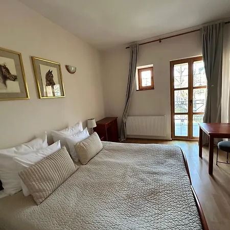 Готель Palac Czerniejewo