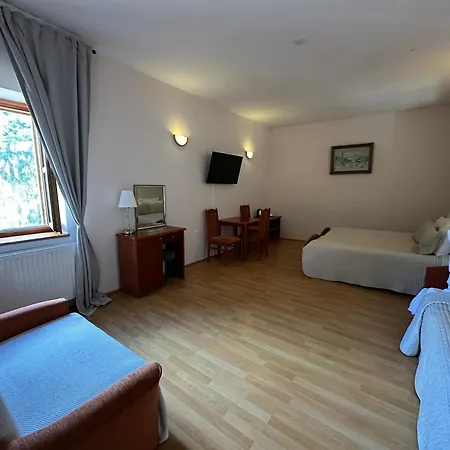 Palac 3* Czerniejewo