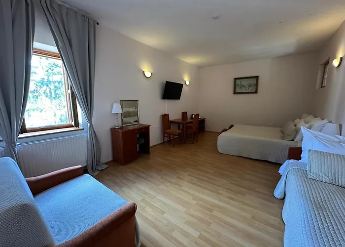 Palac 3* Czerniejewo